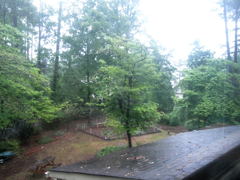 Spring rain at our backyard